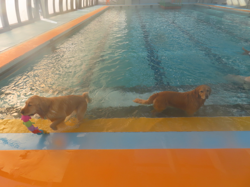 ファイル 8467-3.jpg