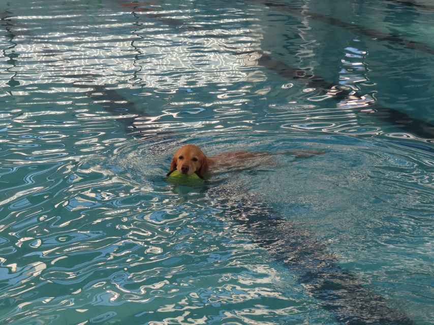 ファイル 8467-4.jpg