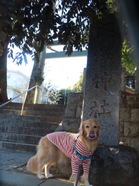 ファイル 8467-5.jpg