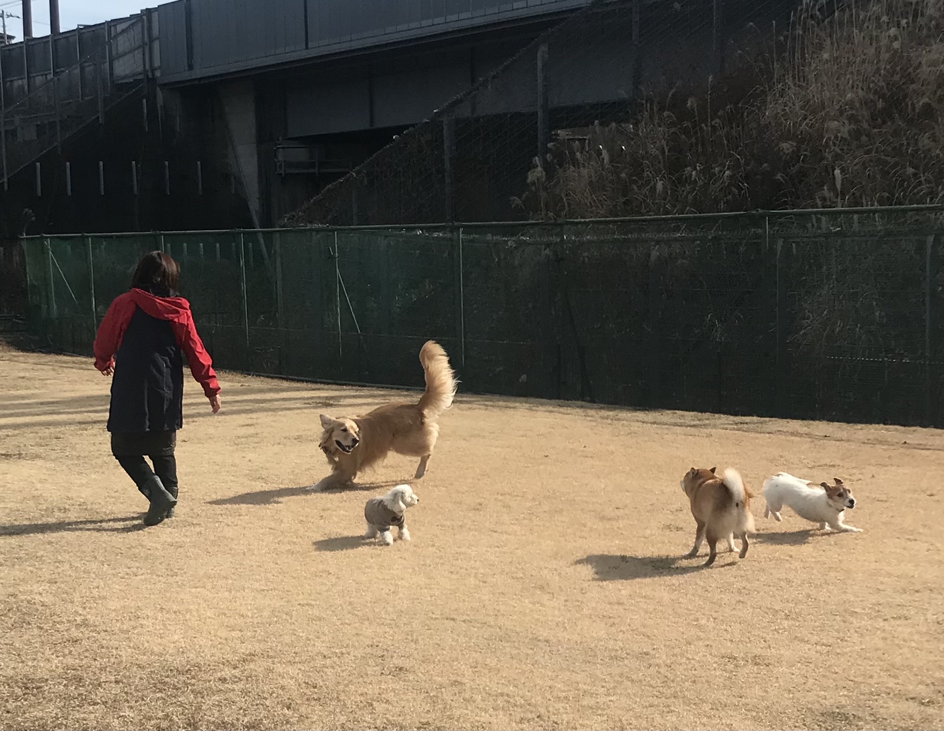 ファイル 8469-1.jpeg