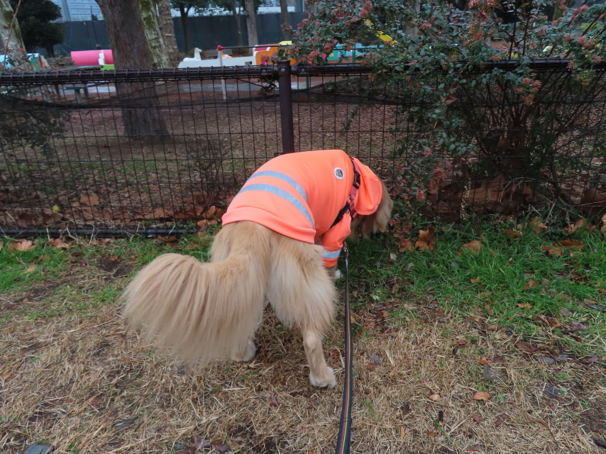 ファイル 8470-2.jpg