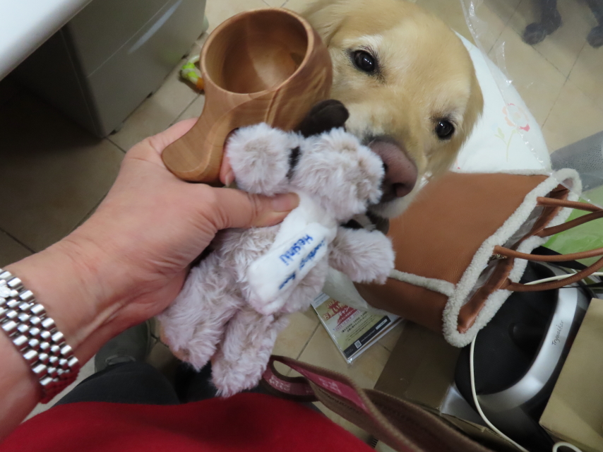 ファイル 8471-3.jpg