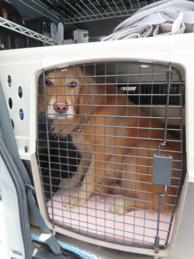 ファイル 8472-2.jpg