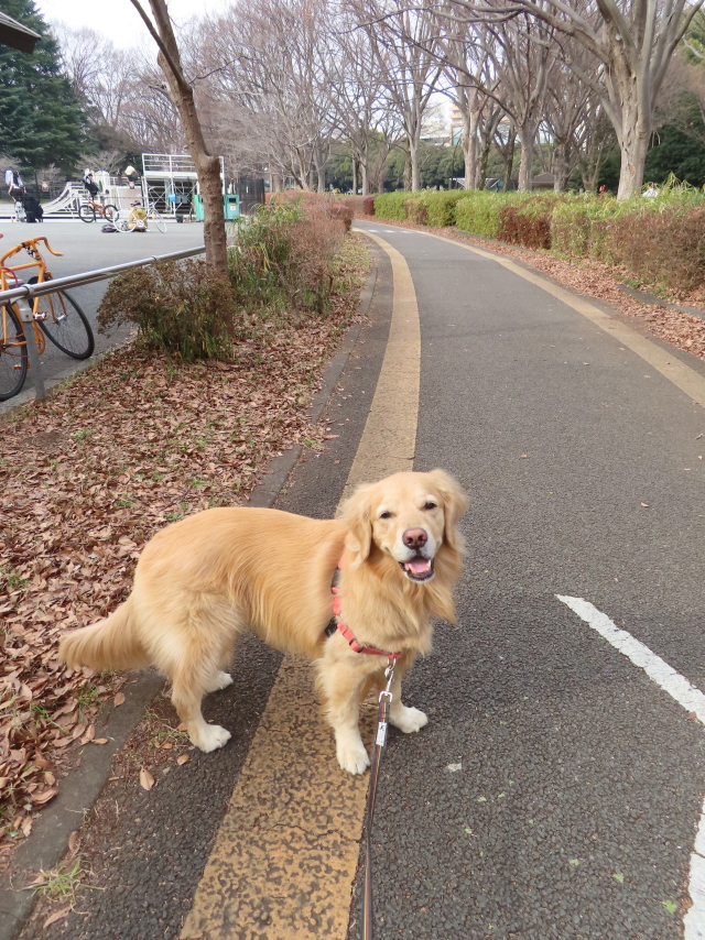 ファイル 8472-4.jpg