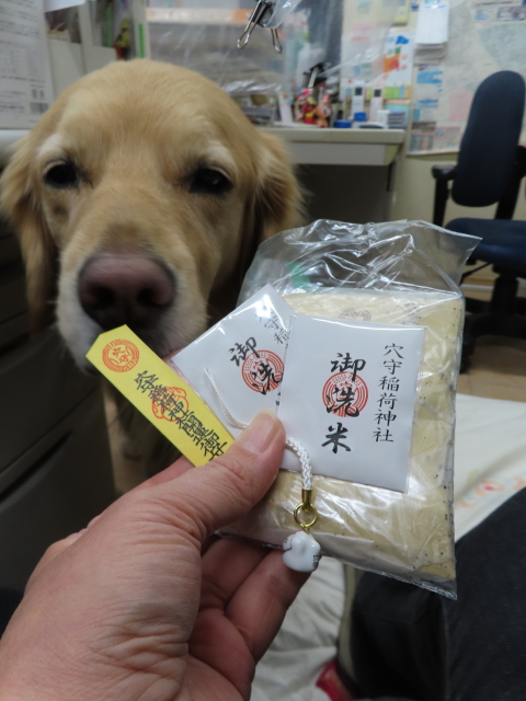 ファイル 8472-5.jpg