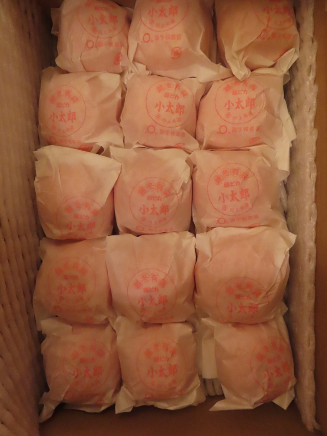 ファイル 8473-4.jpg