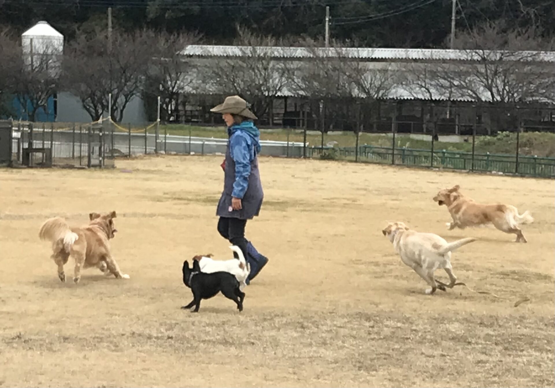 ファイル 8474-1.jpeg