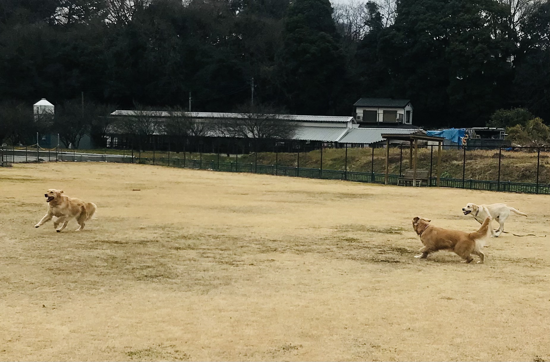 ファイル 8474-4.jpeg