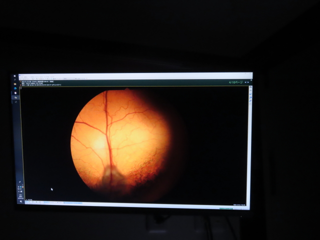 ファイル 8475-4.jpg