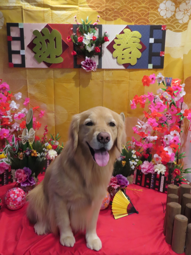 ファイル 8476-1.jpg