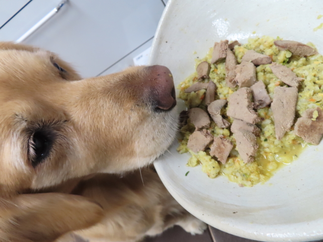 ファイル 8476-5.jpg