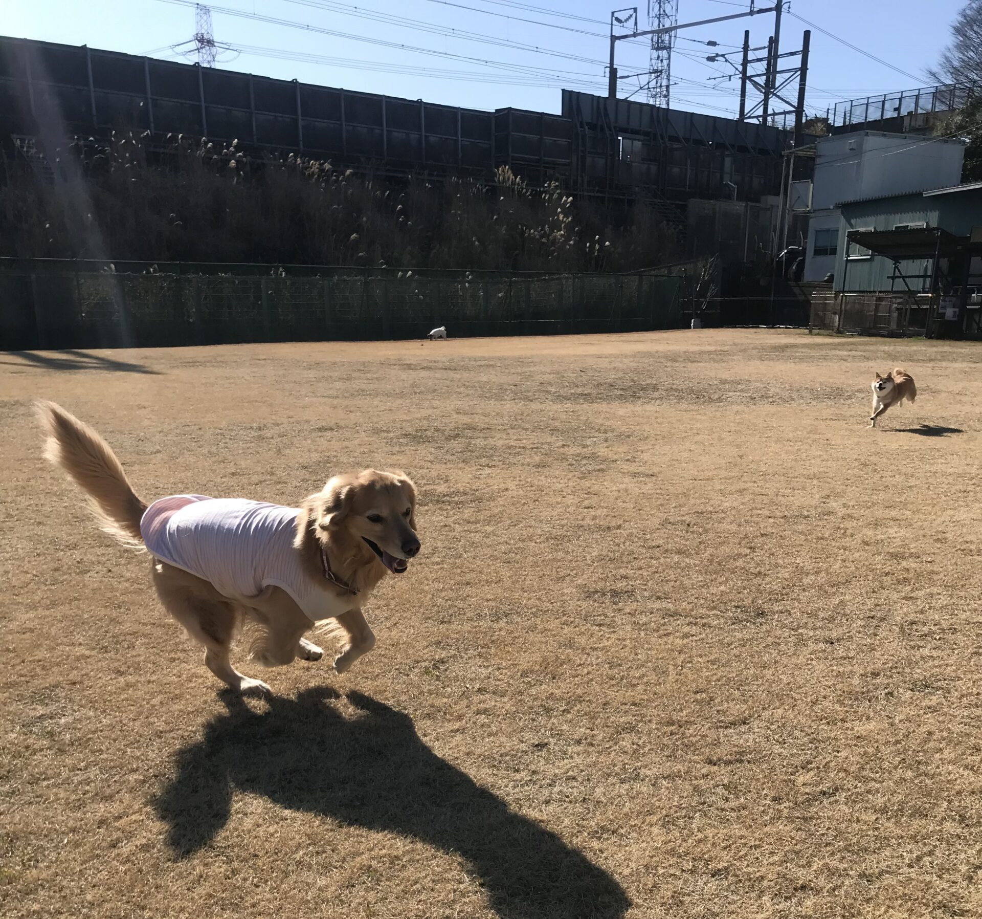 ファイル 8477-1.jpeg