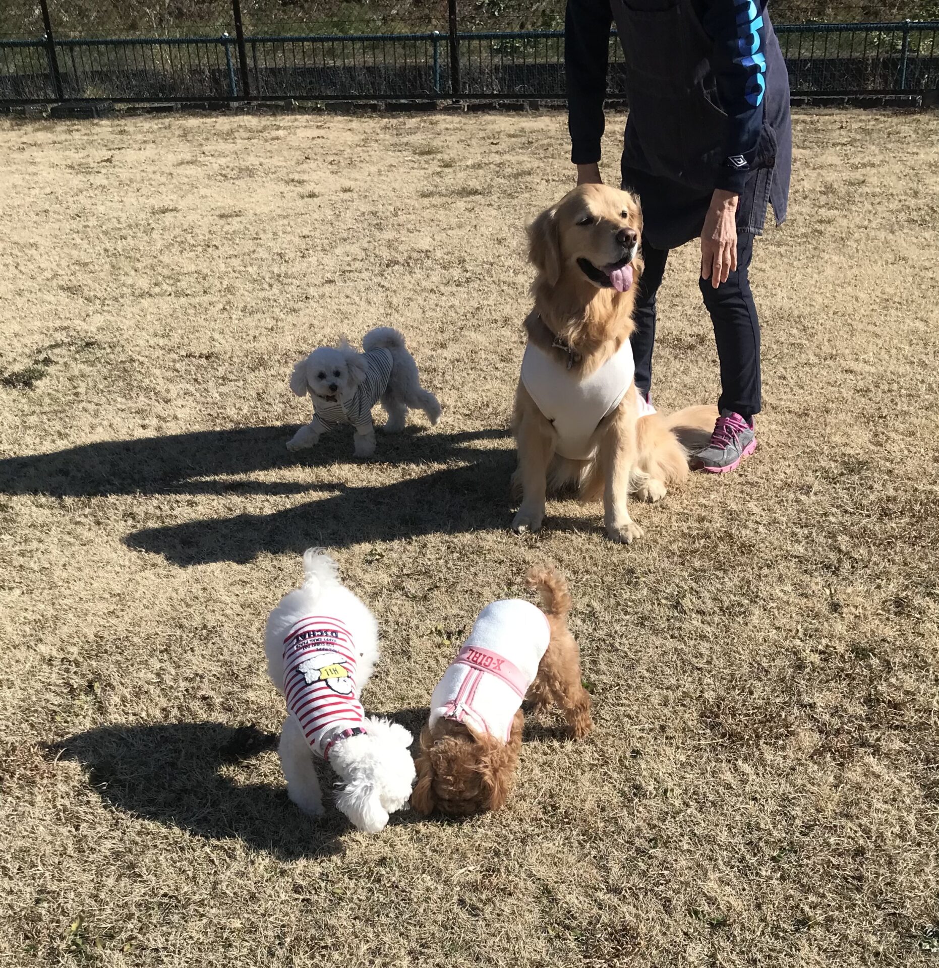 ファイル 8477-4.jpeg