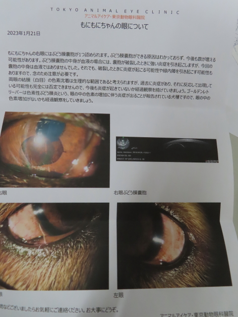 ファイル 8478-1.jpg