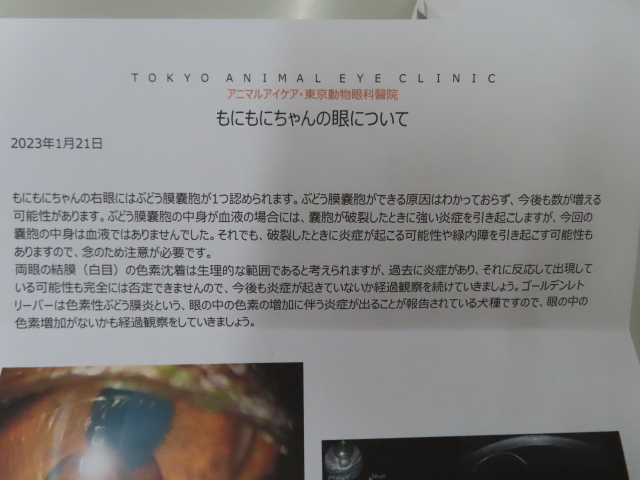 ファイル 8478-2.jpg