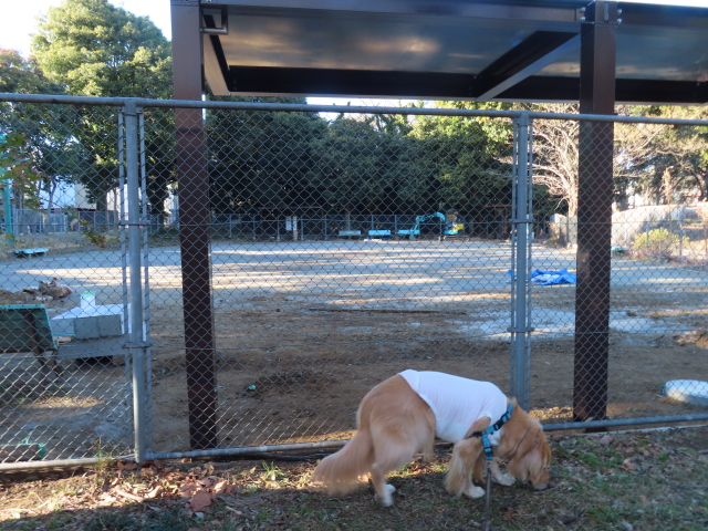 ファイル 8478-3.jpg