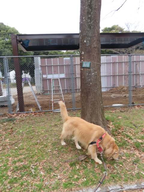 ファイル 8478-5.jpg