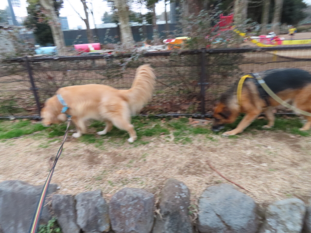 ファイル 8484-2.jpg