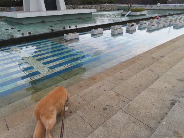 ファイル 8484-4.jpg