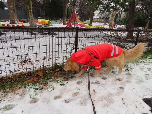 ファイル 8485-1.jpg