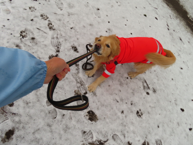 ファイル 8485-3.jpg