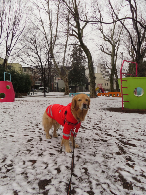 ファイル 8485-5.jpg