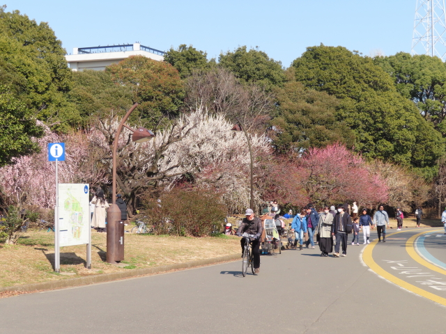 ファイル 8486-1.jpg