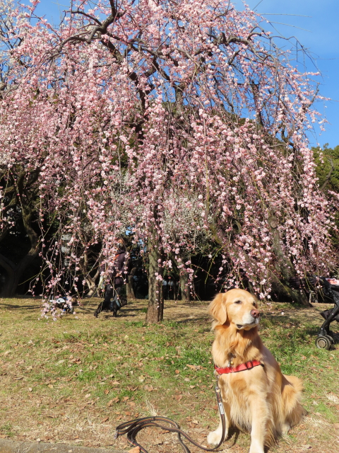 ファイル 8486-3.jpg