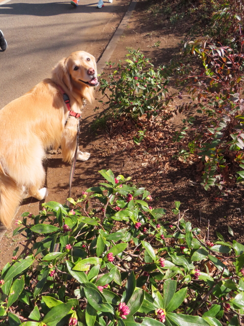 ファイル 8486-5.jpg