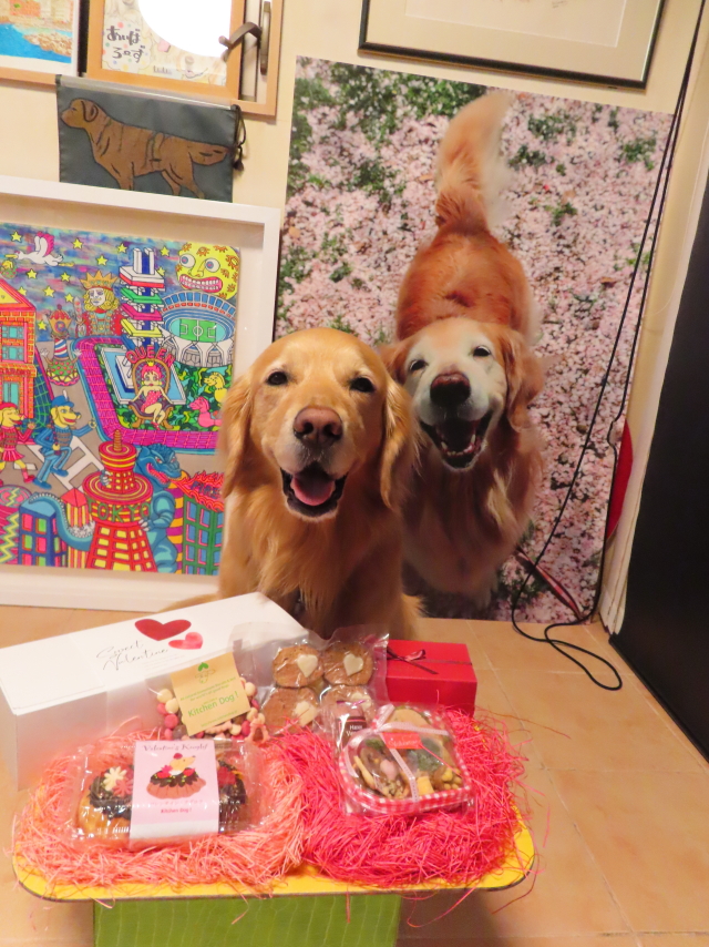 ファイル 8488-1.jpg