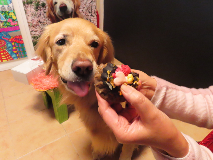 ファイル 8488-3.jpg