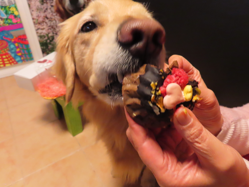 ファイル 8488-4.jpg