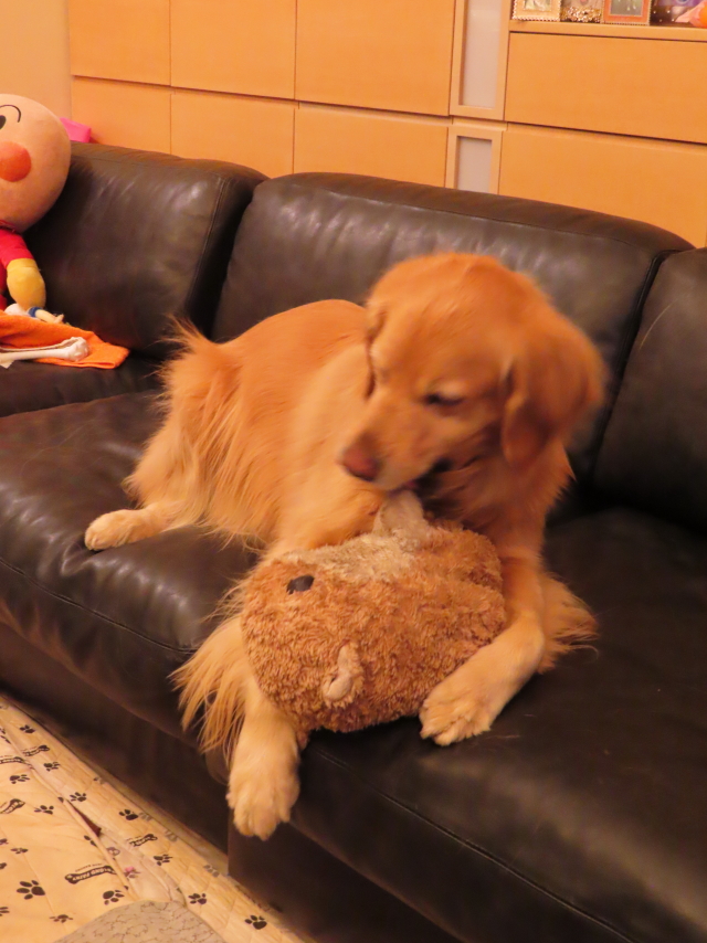 ファイル 8488-5.jpg