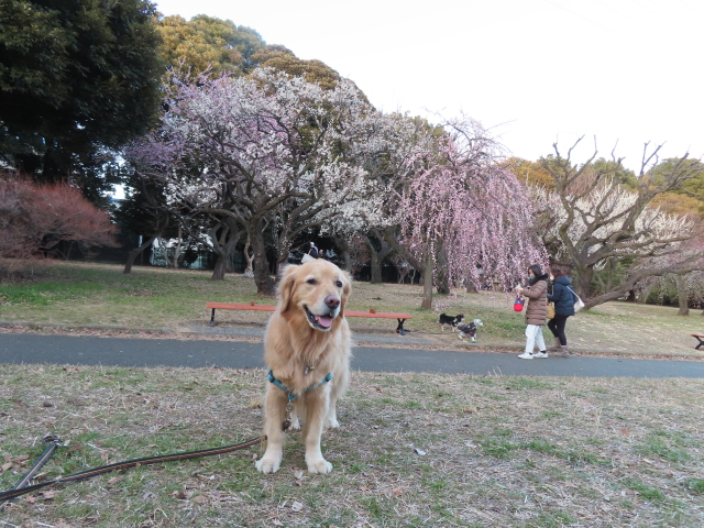 ファイル 8490-3.jpg