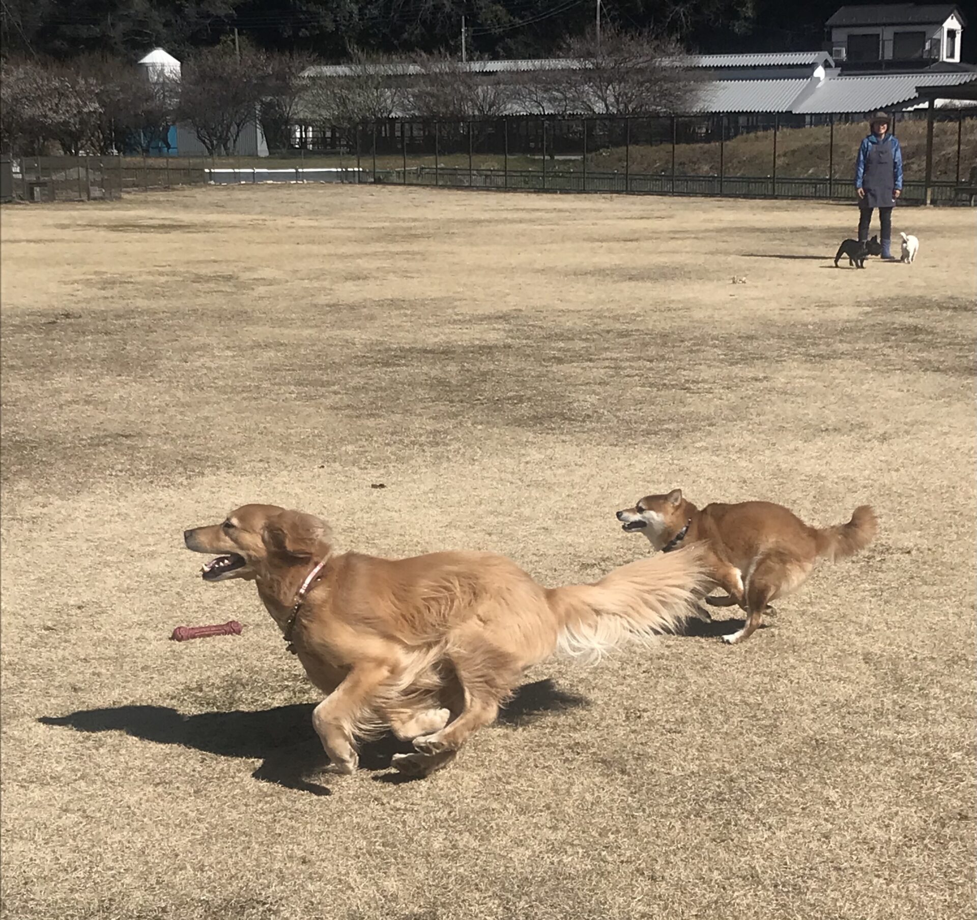 ファイル 8491-1.jpeg