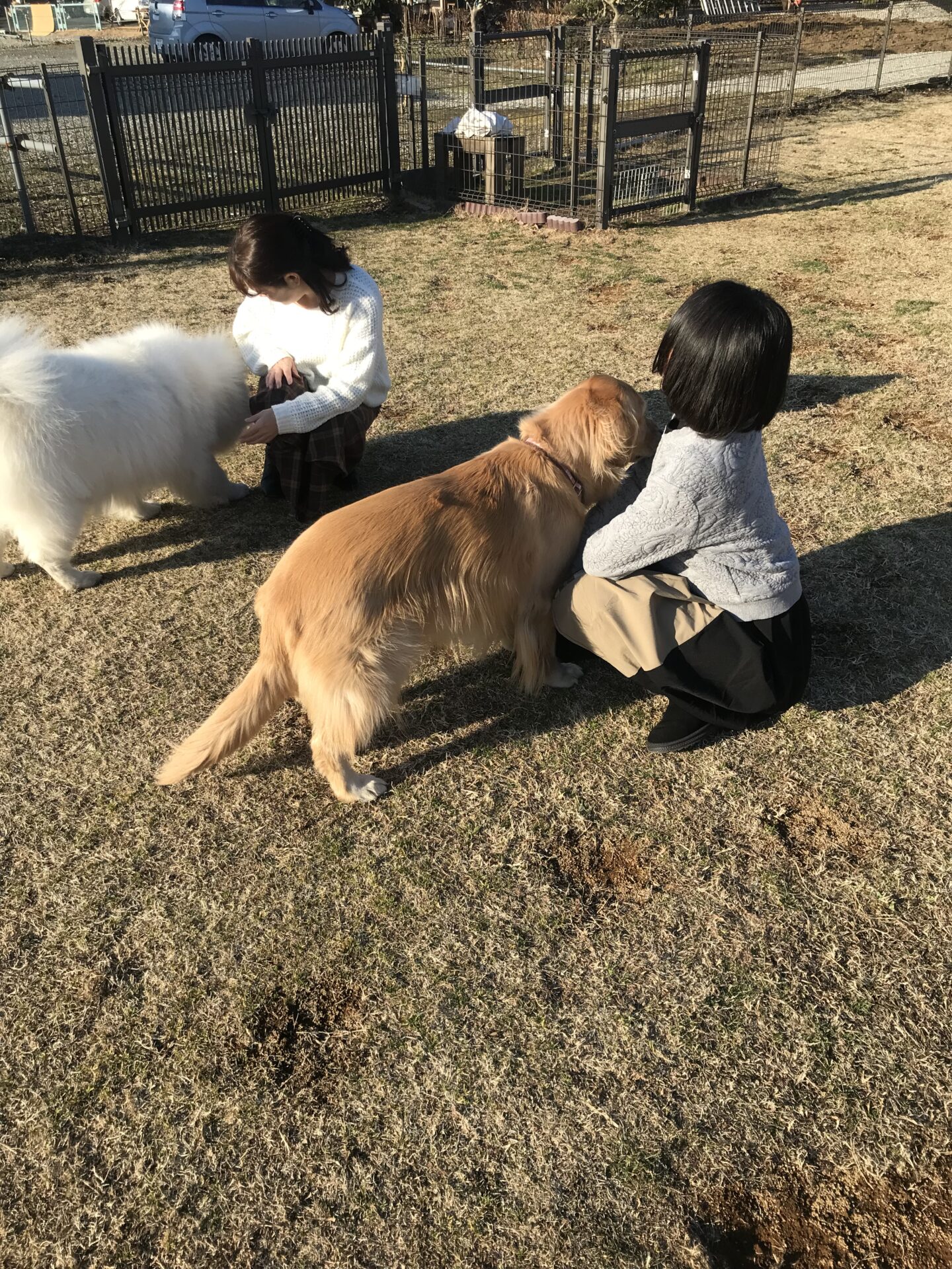 ファイル 8491-2.jpeg