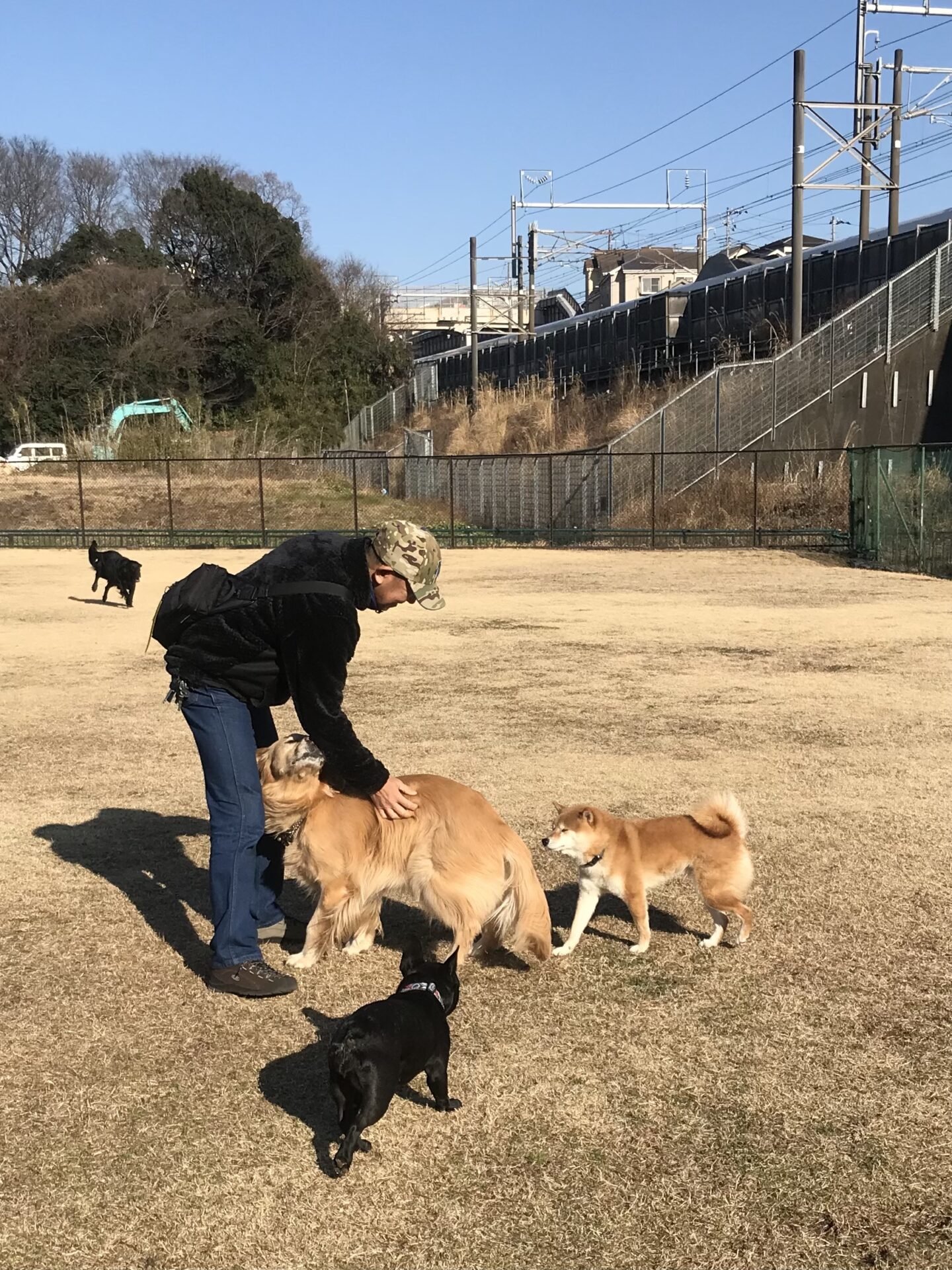 ファイル 8491-4.jpeg