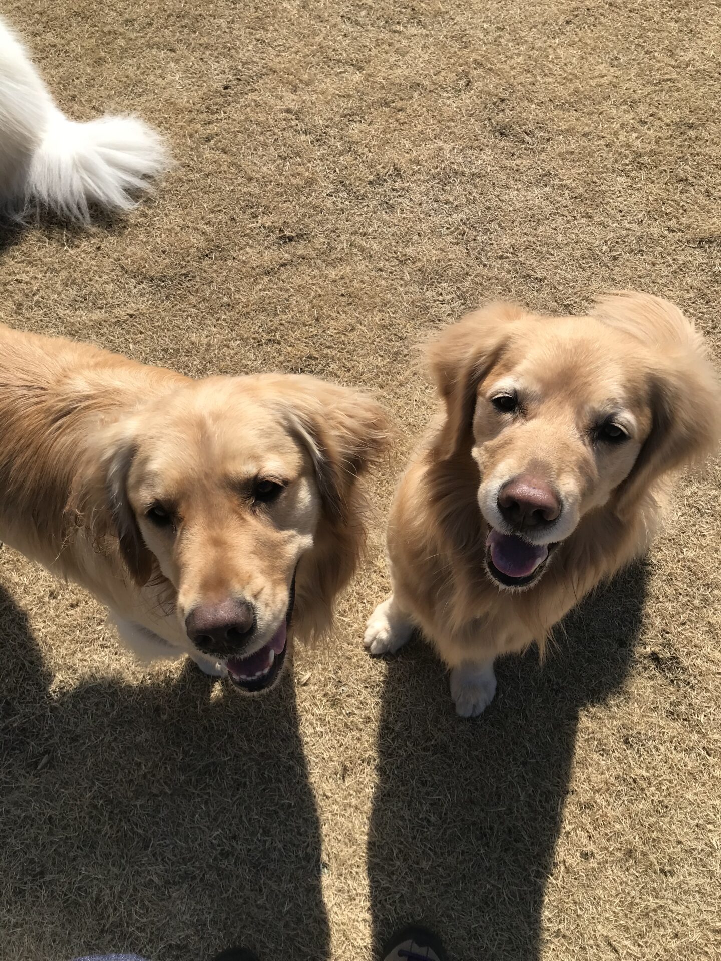 ファイル 8494-2.jpeg