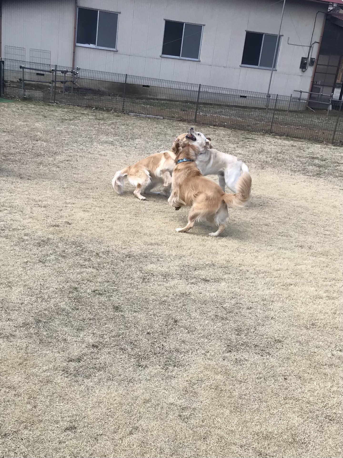 ファイル 8494-3.jpeg