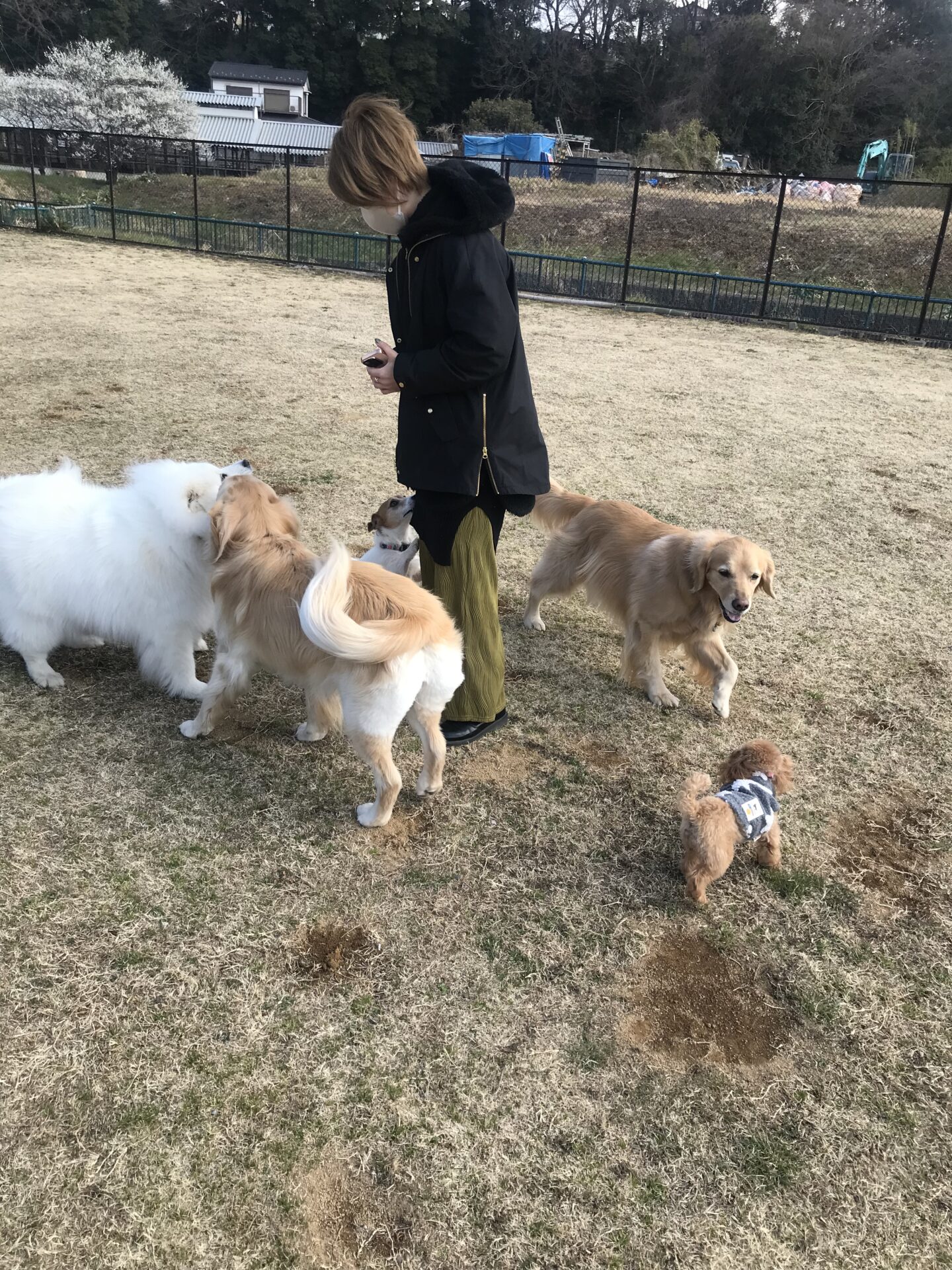 ファイル 8494-4.jpeg