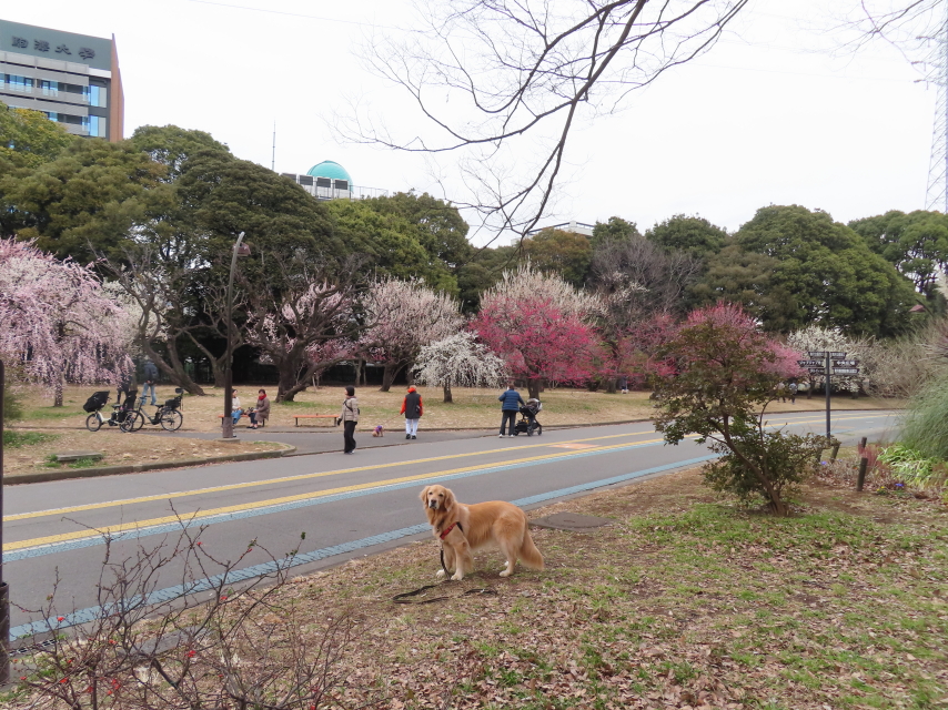 ファイル 8495-1.jpg