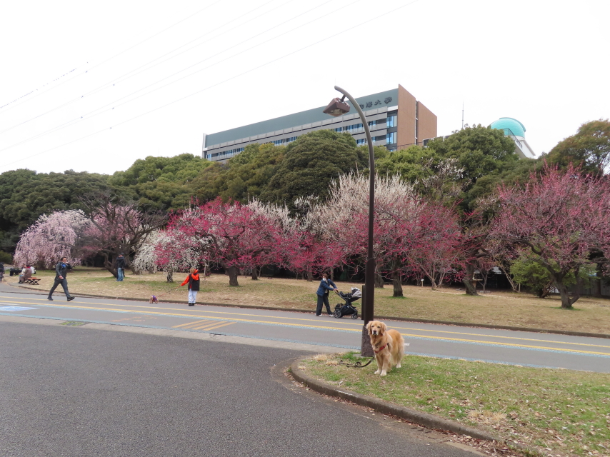 ファイル 8495-2.jpg