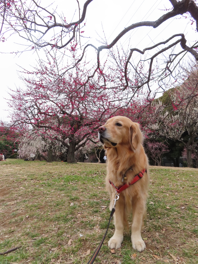 ファイル 8495-3.jpg