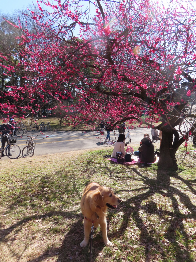 ファイル 8496-5.jpg