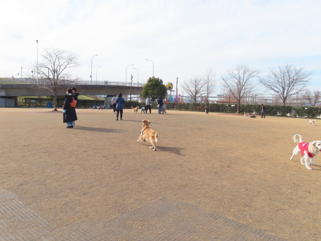 ファイル 8498-2.jpg