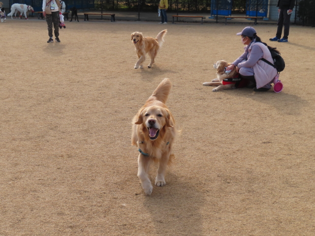 ファイル 8498-3.jpg