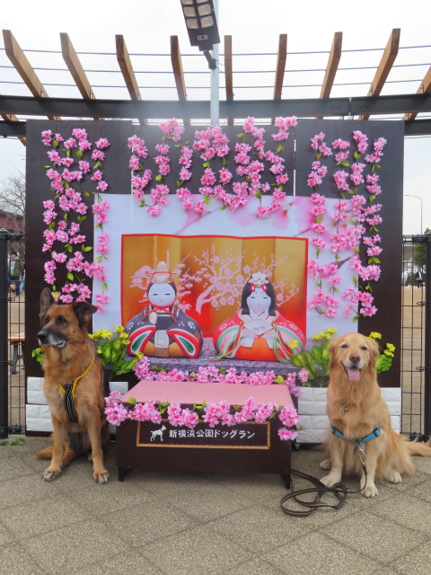 ファイル 8498-4.jpg