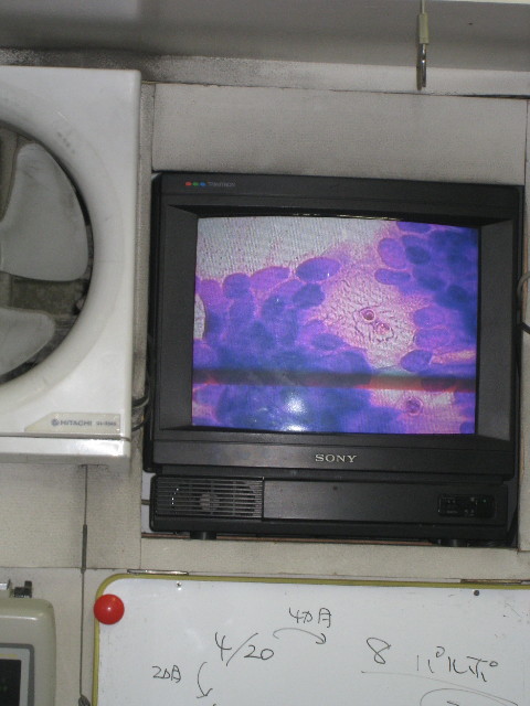 ファイル 850-1.jpg