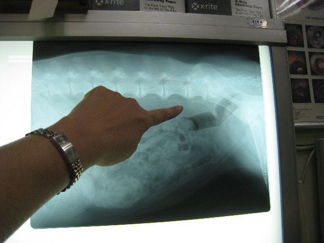 ファイル 850-2.jpg