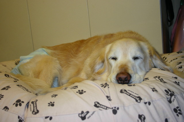 ファイル 850-4.jpg